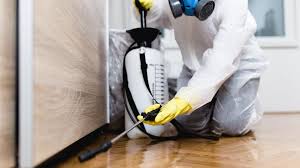 Emergency Pest Control Services in Edcouch, TX